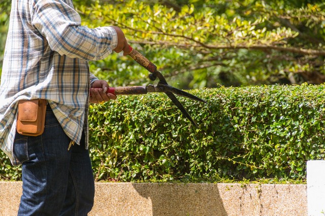 Garden Maintenance Mitcham, Mitcham Common, Pollards Hill, CR4